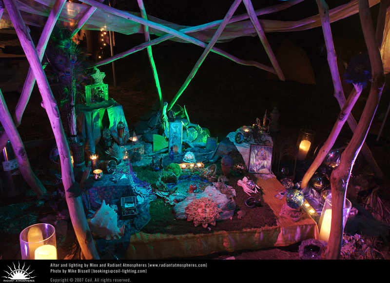 Symbiosis 2007