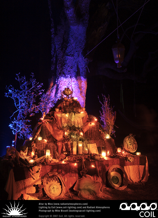 Symbiosis 2007