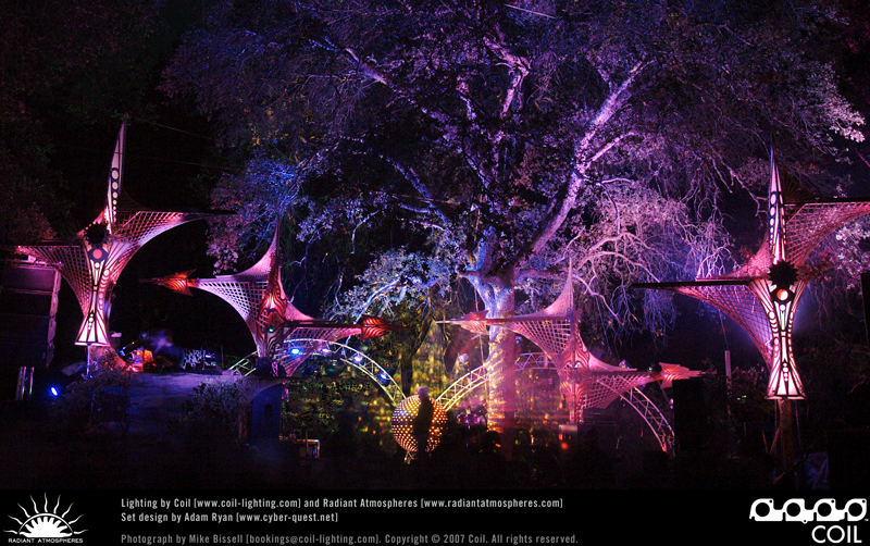 Symbiosis 2007