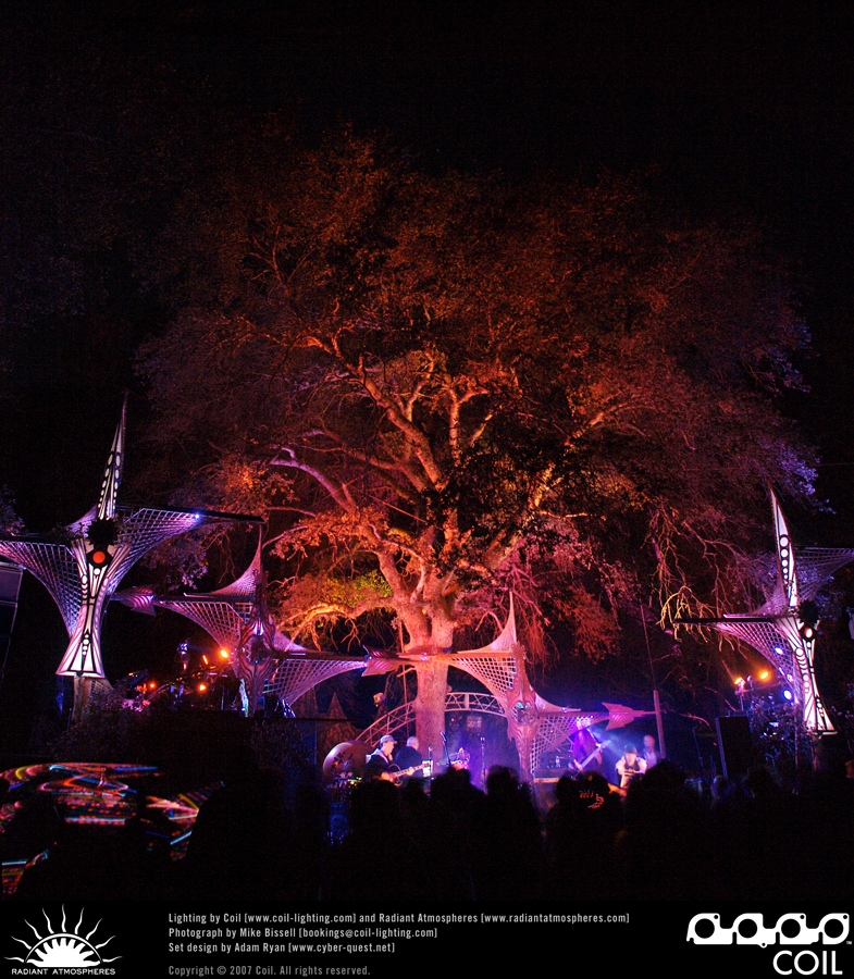 Symbiosis 2007