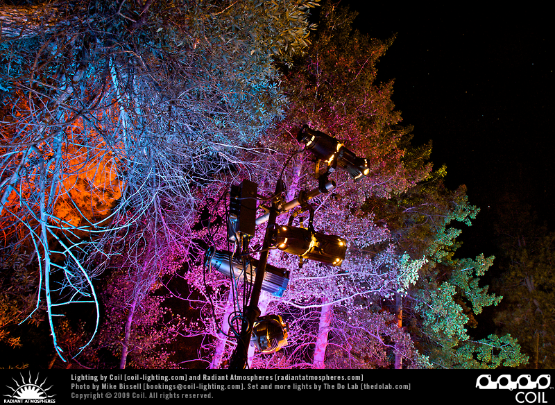 Symbiosis 2009
