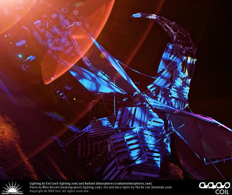 Symbiosis 2009
